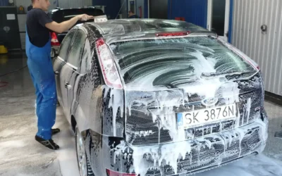 lorem a tellus pellentesque tristique faucibus